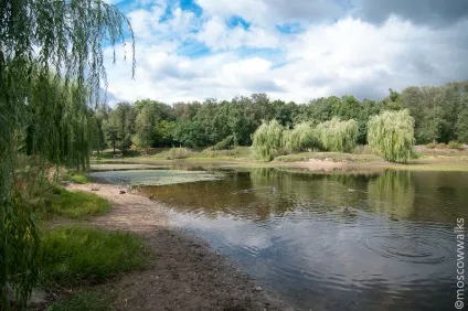 Прогулянка з історією району Глянув