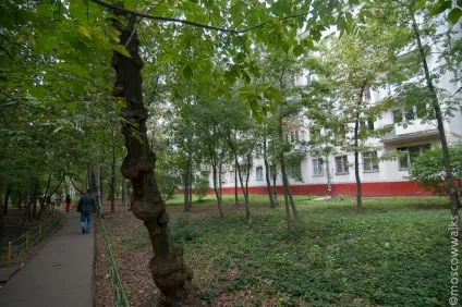 Прогулянка з історією району Глянув
