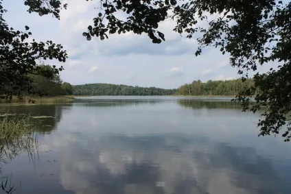 Продаж землі на березі, а також землі з озером, вигідно купити ділянку у води (земля з озером земля на березі ділянку біля озера земельну ділянку на березі ділянку біля річки озера) Продаж землі на березі, а також землі з озером, вигідно купити ділянку у води