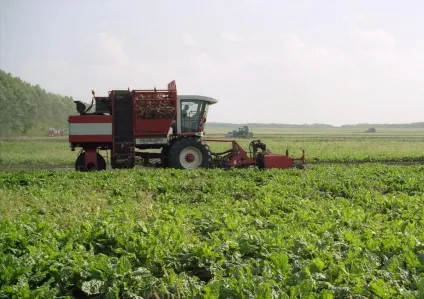 Продаж землі на березі, а також землі з озером, вигідно купити ділянку у води (земля з озером земля на березі ділянку біля озера земельну ділянку на березі ділянку біля річки озера) Продаж землі на березі, а також землі з озером, вигідно купити ділянку у води
