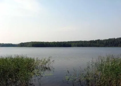 Продаж землі на березі, а також землі з озером, вигідно купити ділянку у води (озером) Продаж землі на березі, а також землі з озером, вигідно купити ділянку у води