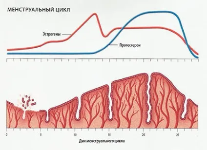Прищі перед місячними - чи можна з ними впоратися