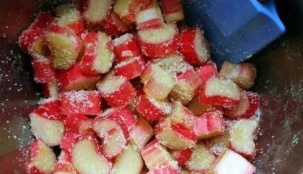 Пиріг з ревенем покроковий рецепт приготування з фото (пиріг з ревенем рецепт з фото) Пиріг з ревенем покроковий рецепт приготування з фото