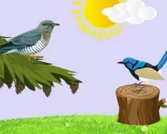 Чому риби живуть у воді (ненецька казка), чому риби живуть у воді казки українські, народні, (риби) Чому риби живуть у воді (ненецька казка), чому риби живуть у воді казки українські, народні,