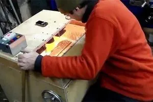 Чому восени бджоли залишають вулик і відлітають
