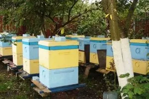 Чому восени бджоли залишають вулик і відлітають