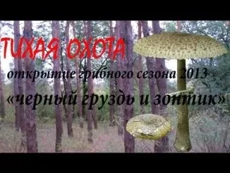 Чому розлучилися женя Феофилактова і Задойнов (розлучилися) Чому розлучилися женя Феофилактова і Задойнов