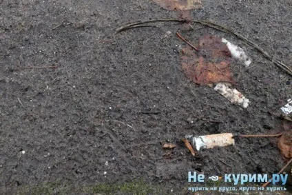 Чому пасивне куріння шкідливіше активного 1 (куріння) Чому пасивне куріння шкідливіше активного 1