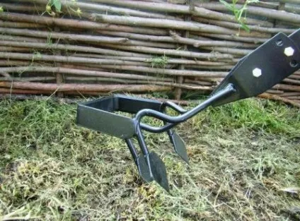 Плоскорізи види і опису (фокина і інші), дачасадовода (інші) Плоскорізи види і опису (фокина і інші), дачасадовода