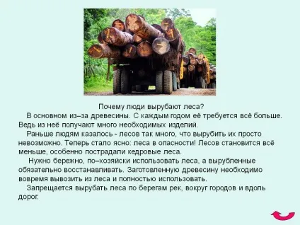 Чому люди вирубують ліси