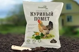 Підживлення полуниці навесні чим і як удобрювати для збільшення врожаю, весняна позакореневе підживлення (підгодівля полуниці навесні) Підживлення полуниці навесні чим і як удобрювати для збільшення врожаю, весняна позакореневе підживлення