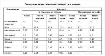 Підготовка теплиці восени прибирання, добрива, загальний догляд, поради ніж удобрити теплицю восени, як (теплиці) Підготовка теплиці восени прибирання, добрива, загальний догляд, поради ніж удобрити теплицю восени, як