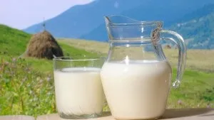 Корисні властивості кумису - чим корисний для жінок і чоловіків відео, nalivali