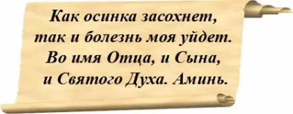 Поліп в матці народні змови, побутова магія (поліп в матці народні) Поліп в матці народні змови, побутова магія