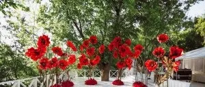 Останні новини влад Соколовський одружився на Дакоті