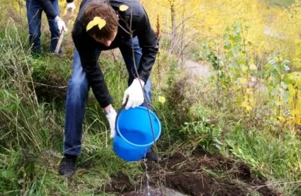 Посадка яблуні восени поради, правила, рекомендації (яблуні) Посадка яблуні восени поради, правила, рекомендації