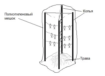 похідна коптильня