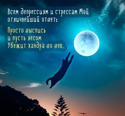 Побажання спокійної ночі у віршах і смс (другу, коханій, коханої) (будь-якого) Побажання спокійної ночі у віршах і смс (другу, коханій, коханої)