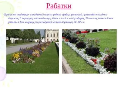 Презентація - проект - ландшафтний дизайн - завантажити безкоштовно