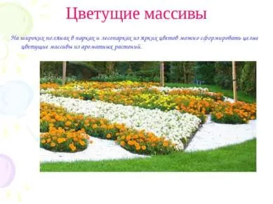 Презентація - проект - ландшафтний дизайн - завантажити безкоштовно