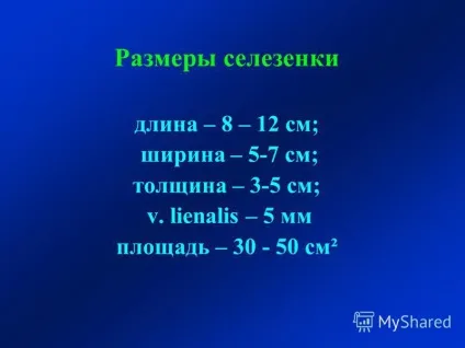Презентація на тему тема ультразвукова діагностика захворювань селезінки лекція 22 для слухачів
