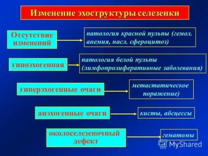 Презентація на тему тема ультразвукова діагностика захворювань селезінки лекція 22 для слухачів