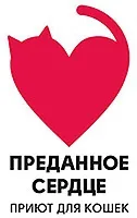 Притулок для бездомних кішок - віддане серце - в Адміралтейському районі Харків