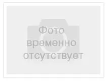 В хронологічному порядку перетримка, допомога бездомним жтвотним (готель) В хронологічному порядку перетримка, допомога бездомним жтвотним