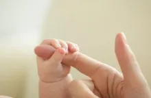 Прихильність в стосунках