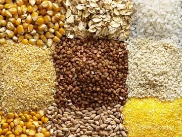 Продукти, які необхідні для здоров'я волосся (продукти) Продукти, які необхідні для здоров'я волосся
