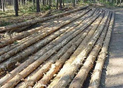 Просочені дерев'яні опори освітлення (освітлення) Просочені дерев'яні опори освітлення