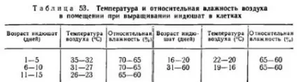 Виробництво м'яса індиків - все про тваринництво (м'яса) Виробництво м'яса індиків - все про тваринництво