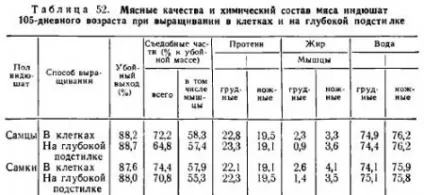 Виробництво м'яса індиків - все про тваринництво (денного) Виробництво м'яса індиків - все про тваринництво