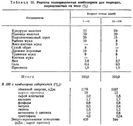 Виробництво м'яса індиків - все про тваринництво (утриманні) Виробництво м'яса індиків - все про тваринництво