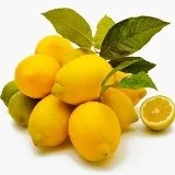 Розмноження кімнатного лимона