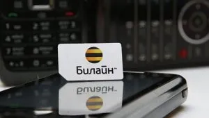 Роздруківка смс білайн деталізація текстів чужого номера (деталізація) Роздруківка смс білайн деталізація текстів чужого номера