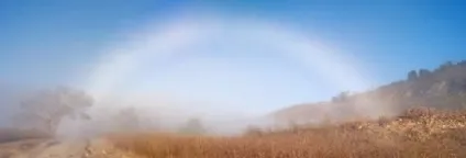 Розповіді Пришвіна м