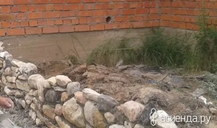 Рослини для підпірної стінки з натурального каменю щоденник користувача svetakh2 (рослини для альпійської гірки) Рослини для підпірної стінки з натурального каменю щоденник користувача svetakh2