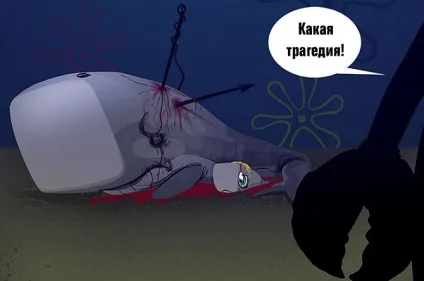 Розслідування 2х2 чому дочка містера Крабса - кит блог на сайті телеканалу 2x2 (атомний ліс) Розслідування 2х2 чому дочка містера Крабса - кит блог на сайті телеканалу 2x2