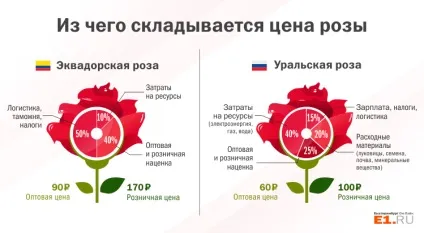 Репортаж з теплиці як дешеві троянди з Алапаєвська витісняють з ринку конкуренток з Еквадору (ринку) Репортаж з теплиці як дешеві троянди з Алапаєвська витісняють з ринку конкуренток з Еквадору