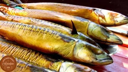 Рецепт холодного копчення скумбрії, два види засолу (малосольная скумбрія) Рецепт холодного копчення скумбрії, два види засолу