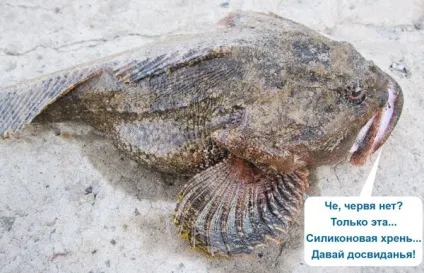 Рокфішінг ловля мікроджига в море