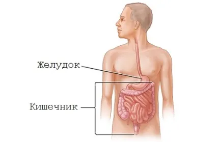 Ротавірусний гастроентерит симптоматика з діагностикою та лікуванням
