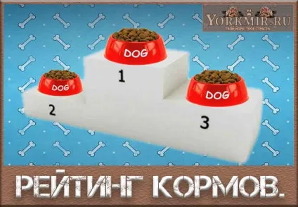 Рейтинг кормів для собак, холістік, преміум, економ (рейтинг) Рейтинг кормів для собак, холістік, преміум, економ