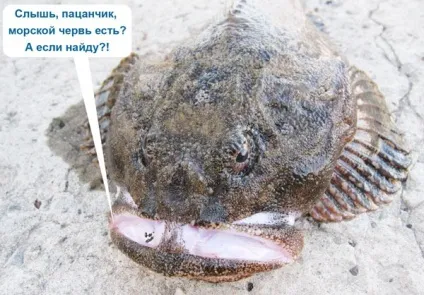 Рокфішінг ловля мікроджига в море