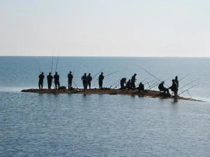 Риболовля на азовському морі-яка риба ловиться на азовському морі (ловиться) Риболовля на азовському морі-яка риба ловиться на азовському морі