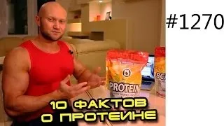 Протеїнова дієта меню, відгуки (відгуки) Протеїнова дієта меню, відгуки
