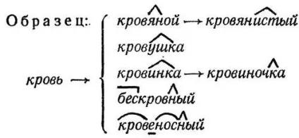 яка виробляє основа
