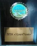 Садові троянди вирощені на Уралі в рінбург, Березовський (рінбург) Садові троянди вирощені на Уралі в рінбург, Березовський