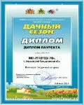 Садові троянди вирощені на Уралі в рінбург, Березовський (Березовський) Садові троянди вирощені на Уралі в рінбург, Березовський